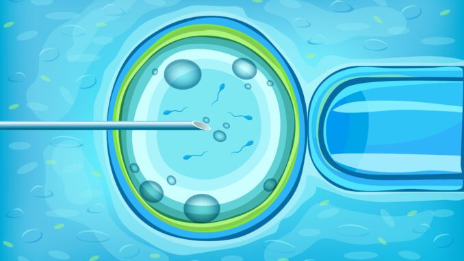 In Vitro Fertilization Scientific Concept